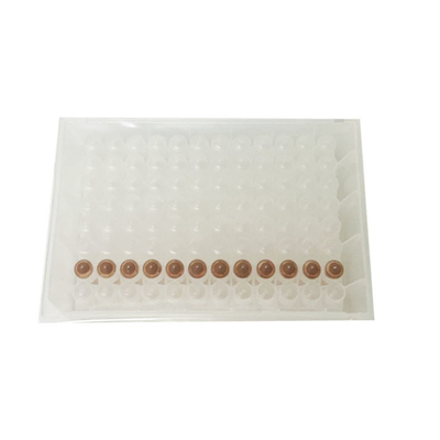 ISO13485 Magnetic Bead Rapid Virus Extraction Kit 48 ตัวอย่าง RNA Extraction Kit