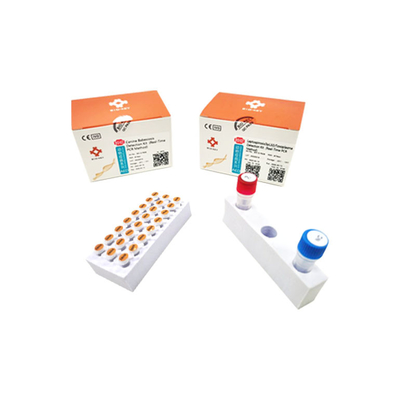 ชุดทดสอบอย่างรวดเร็ว Leptospirosis แบบเรียลไทม์ Taqman Probe Toxoplasma Test Kit