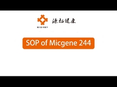 POCT เครื่อง PCR จํานวนในเวลาจริง 2 / 4 ช่องทาง 24 เครื่องวินิจฉัยโมเลกุล