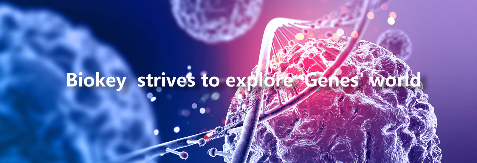 คุณภาพ เครื่อง RT qPCR โรงงาน