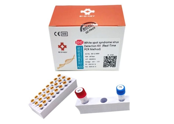 Vannamei shrimp White Spot Syndrome Virus WSSV Rapid Test Kit กระเทียมแบคูโลไวรัส PCR Kit