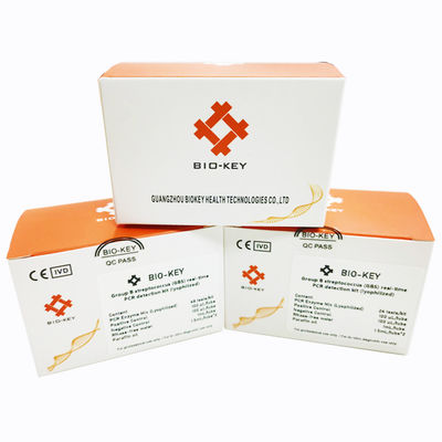 PCR กลุ่ม B สเตรปโตโคกัส GBS STD STI Test Kit