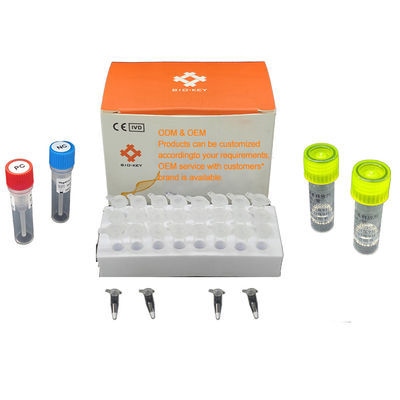 ชุดวินิจฉัย PCR ปริมาณฟลูเรสเซนต์ การตรวจหาโมเลกุลของเชื้อโรคในน้ํา 48 การทดสอบ/ชุดวินิจฉัย