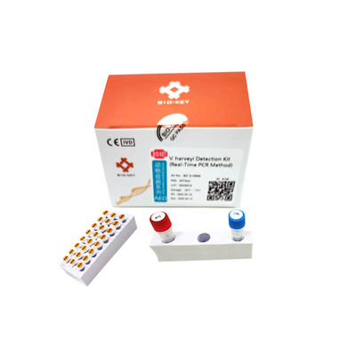 ตัวอย่างน้ำ ชุดทดสอบการเพาะเลี้ยงสัตว์น้ำ Vibrio Harveyi กรดนิวคลีอิกแบบเรียลไทม์ PCR