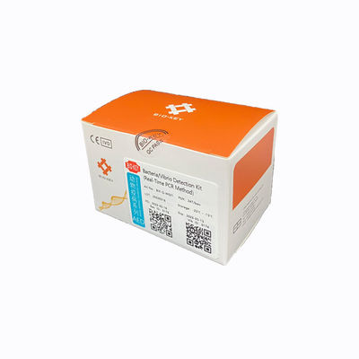 ชุดวินิจฉัย PCR ในเวลาจริง