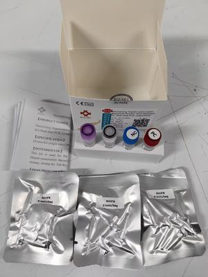 NHPB สารก่อโรคในน้ํา แอนิวเคลียนิกแอซิด ฟลอเรสเซนต์ ปริมาณ Pcr Taqman Test Kit