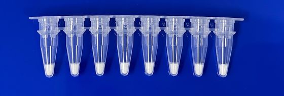 ชุดตรวจสอบ PCR ในเวลาจริงสําหรับส่วนประกอบหมูในตัวอย่างอาหาร