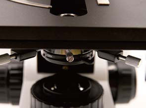 มิกรอสโกปบิโอโลจิค B70 สูง