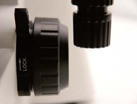 มิกรอสโกปบิโอโลจิค B70 สูง