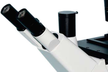 มิกรอสโกปทางชีววิทยา 5 ตําแหน่ง