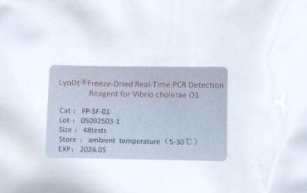 LyoDt® น้ำยาตรวจจับ PCR แบบเรียลไทม์ชนิดผงแช่เยือกแข็งสำหรับ Vibrio cholerae O1 - ไม่ต้องใช้ห่วงโซ่ความเย็น & บรรจุพร้อมใช้สำหรับการทดสอบครั้งเดียว