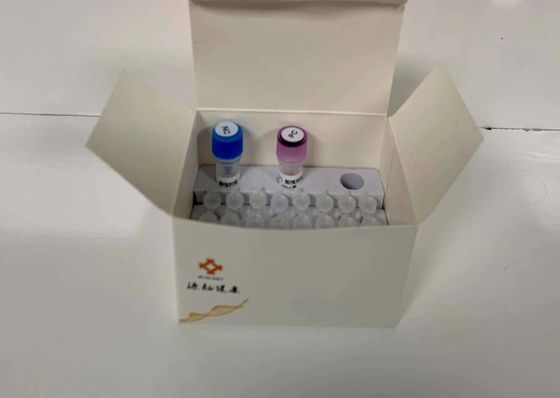 ชุดวินิจฉัย PCR ปริมาณฟลูเรสเซนต์ การตรวจหาโมเลกุลของเชื้อโรคในน้ํา 48 การทดสอบ/ชุดวินิจฉัย